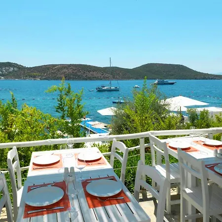 Doria Bodrum-city Center מלון ביטז